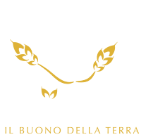 Fattoria Briante