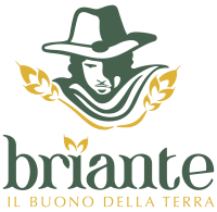 Fattoria Briante